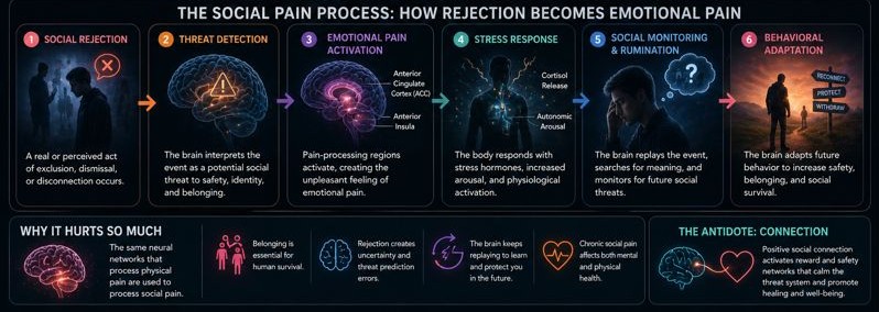 Social pain process diagram